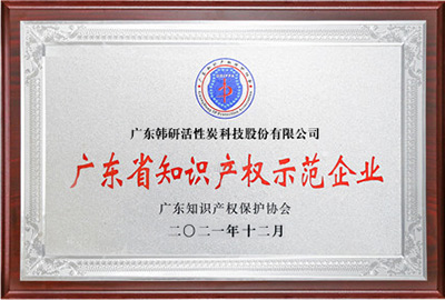 广东省知识产权示范企业